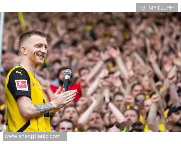 多特蒙德主场噩梦!欧冠资格岌岌可危