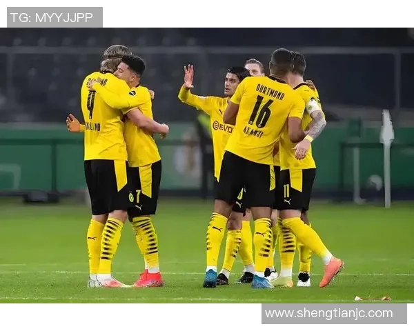 多特主场失利，德甲排名下滑，危机重重！