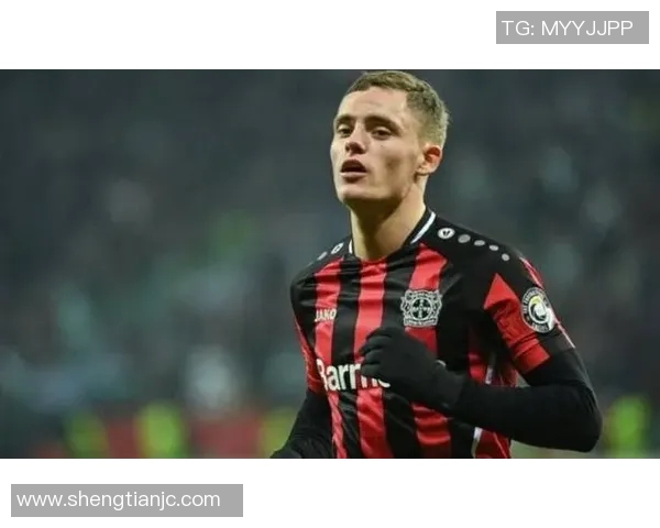 汉堡队主场不败,逼平高手勒沃库森 汉堡队主场不败,逼平高手勒沃库森