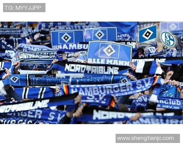 汉堡主场告捷，保级前路一线希望重新燃烧