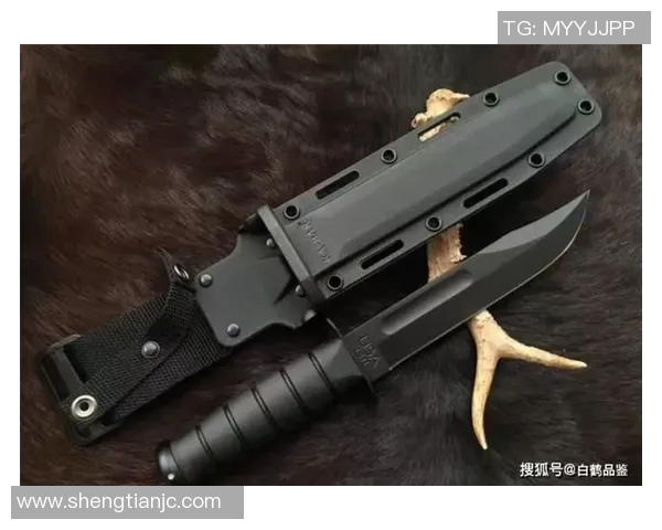 阿尔法-卡巴主帅变阵,打造全新战术体系 阿尔法-卡巴主帅变阵,打造全新战术体系